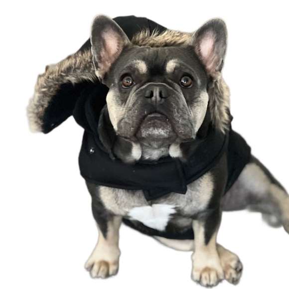 WAG N WOOF hooded dog winter/snow jacket|large - Picture 2 of 5